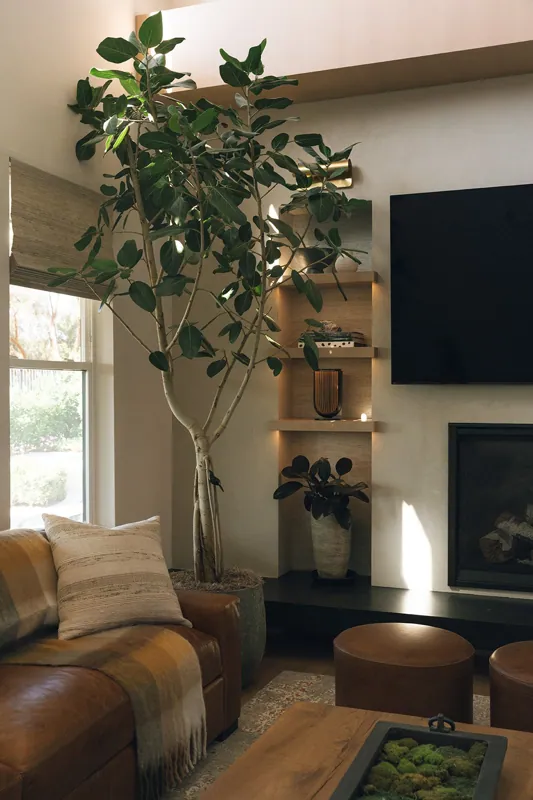 Living room with a large potted plant near a window, a leather sofa with a striped pillow, a wooden coffee table with moss decor, a wall-mounted TV, and built-in shelves with decorative items and a fireplace.