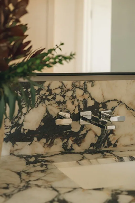 Close-up of a marble bathroom sink with a chrome faucet and a mirror above, partially covered by green leafy plants on the left side.