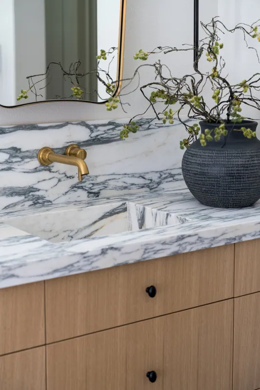 Marble bathroom sink with a gold faucet, a large dark vase with a branch plant, and a mirror above the sink.